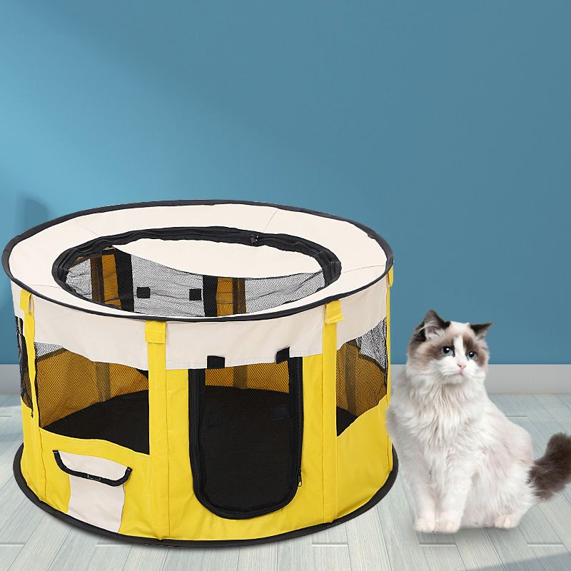 Off-white and Yellow
